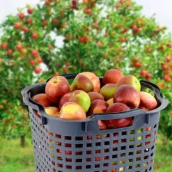 GreenLife Uni-Korb 25 kg, 3 Stück, drehstapelbar, grau