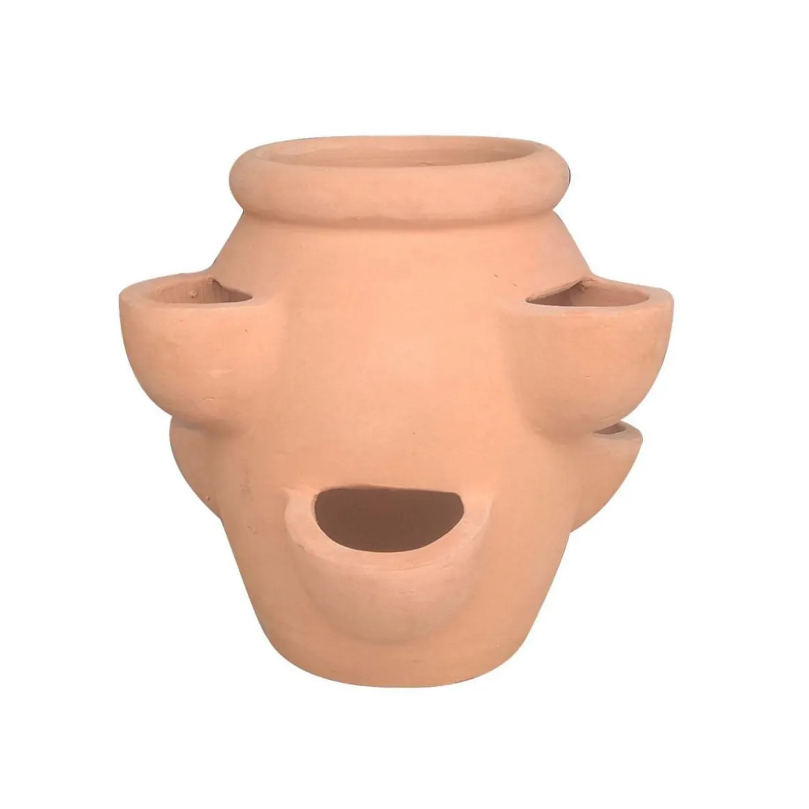 Haveson Erdbeer- und Kräutertopf Giardino