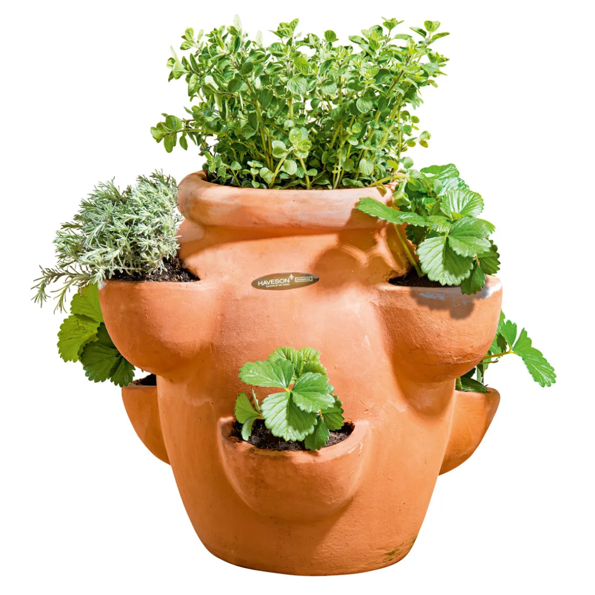 Haveson Erdbeer- und Kräutertopf Giardino