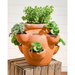 Haveson Erdbeer- und Kräutertopf Giardino