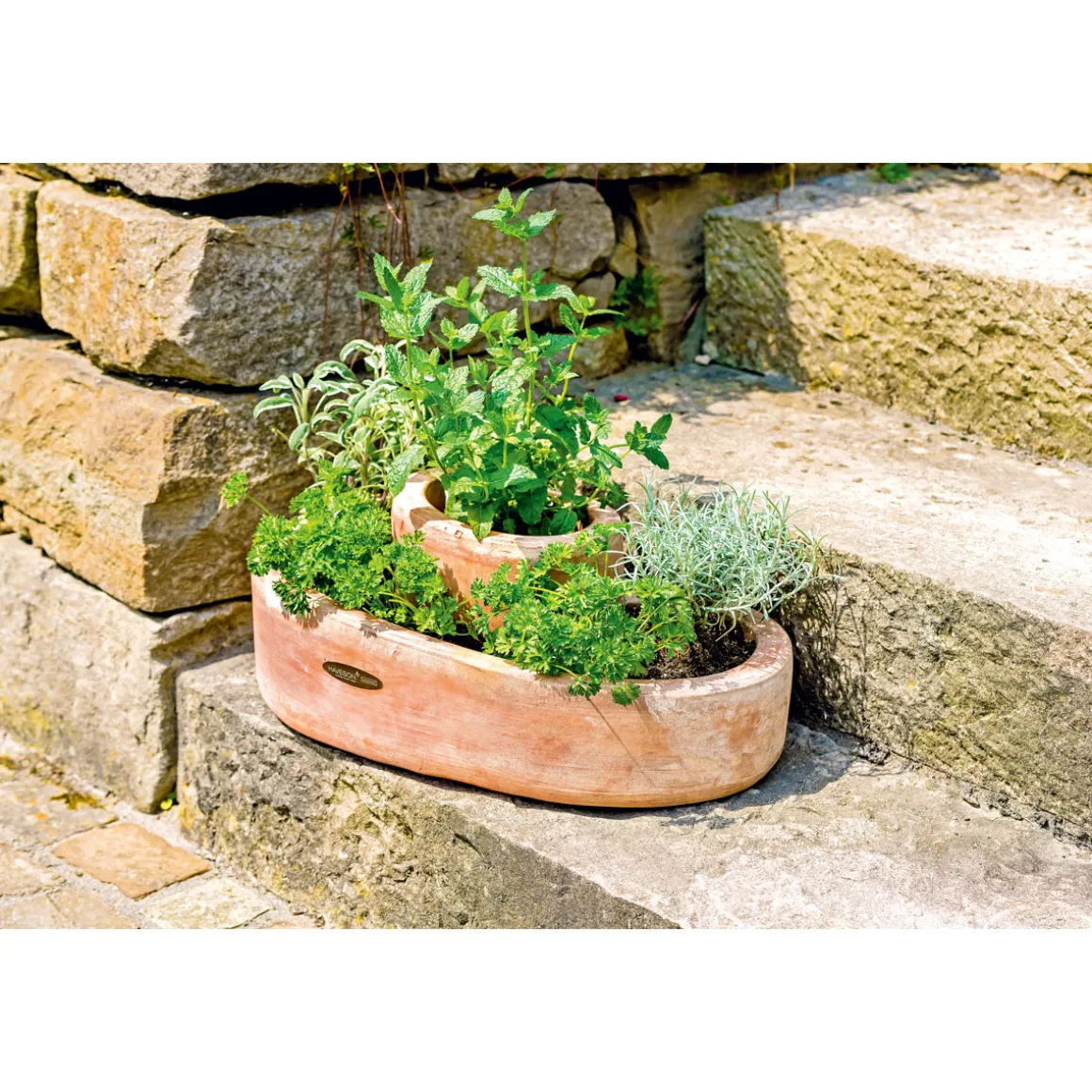 Haveson Kräuterspirale Mediterrano 40 x 25 x 20 cm