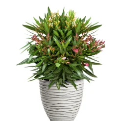 Haveson Pflanzgefäß Big Groove rund Durchmesser 40 x 37 cm Light cement