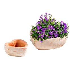 Haveson Pflanzschale Herz groß