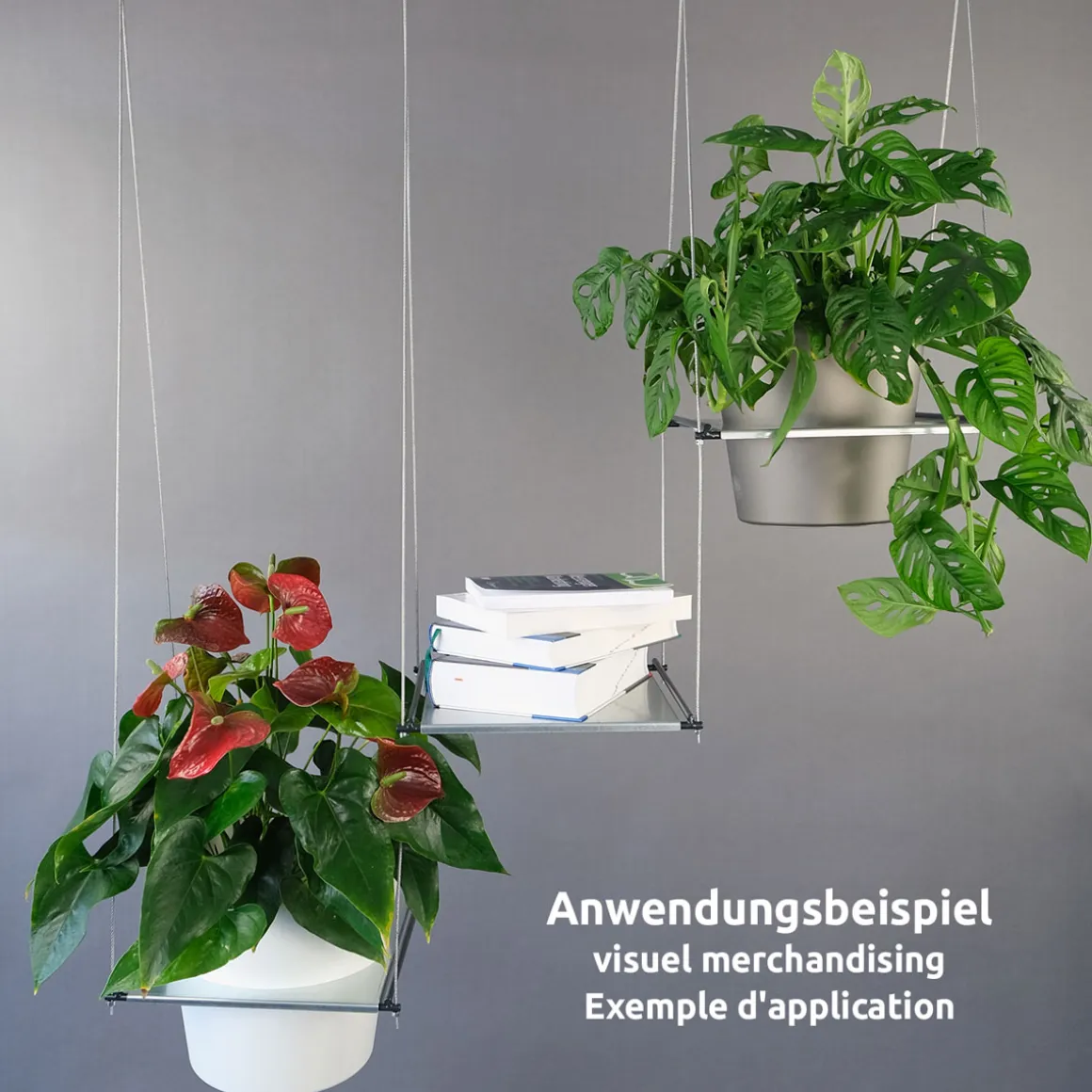 Hängegarten Filo Starter Set