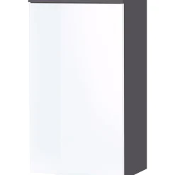Hängeschrank 39 x 69 x 27 cm graphit/weiß