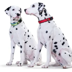 Hunter Halsung Neopren Vario Plus 45-50 cm 20m