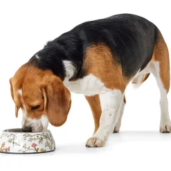 Hunter Melamin-Napf Mogami we/multicolor 700ml