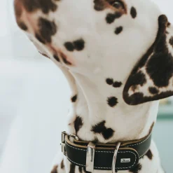 Hunter Halsband Aalborg Special schwarz Größe S