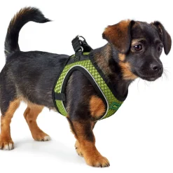 Hunter Hundegeschirr Hilo Comfort limette Größe XXS-XS