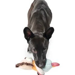 Hunter Hundespielzeug Muli Löwe mehrfarbig 18 cm