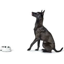 Hunter Melamin-Napf Baku weiß-grau 350 ml