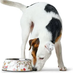 Hunter Melamin-Napf Mogami mehrfarbig 350 ml