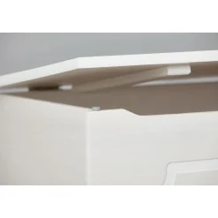 Inter Link Massivholztruhe „Emel“, weiß lackiert, 89x53x47 cm