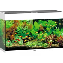 Juwel Aquarium Rio 125 weiß