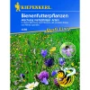 Kiepenkerl Bienenfutterpflanzen mehrjährig