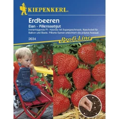 Kiepenkerl Erdbeeren Elan F1 Profi-Line