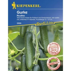 Kiepenkerl Mini-Snack-Salatgurke Picolino F1