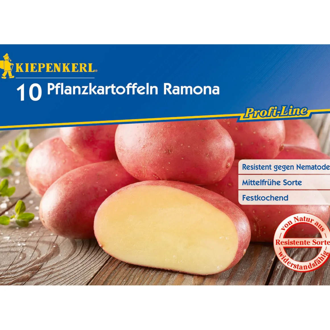 Kiepenkerl Pflanzkartoffeln Romana 10 Stück