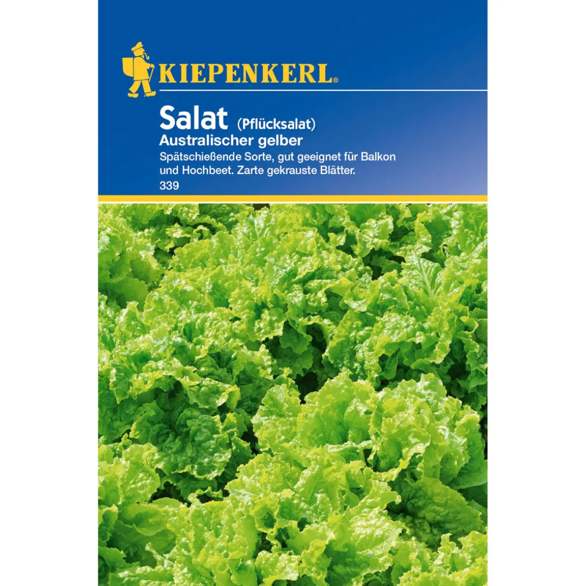 Kiepenkerl Salat Australischer gelber