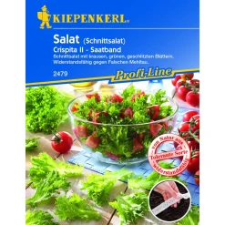 Kiepenkerl Salat Crispita II