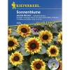 Kiepenkerl Sonnenblume Merida Bicolor