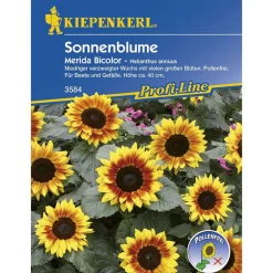 Kiepenkerl Sonnenblume Merida Bicolor