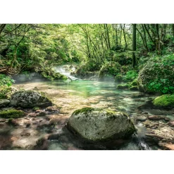 Komar Papier Fototapete Riverbed 368x254 cm