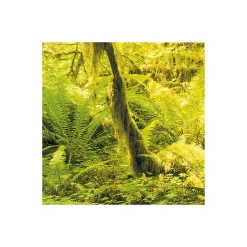 Komar Vlies Fototapete Ancient World 400x250 cm