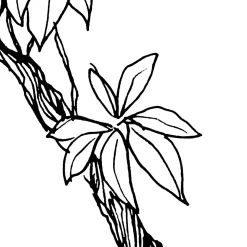 Komar Vlies Fototapete Blanca 400x280 cm