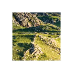 Komar Vlies Fototapete Breath Taking 400x250 cm