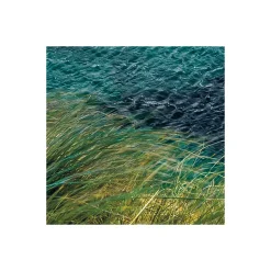 Komar Vlies Fototapete Breath Taking 400x250 cm