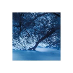 Komar Vlies Fototapete Blue Waters 400x250 cm