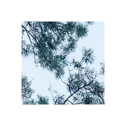 Komar Vlies Fototapete Blue Waters 400x250 cm