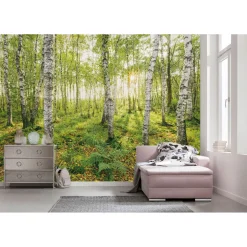 Komar Vlies Fototapete Birch Trees 400x250 cm
