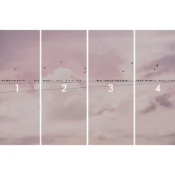 Komar Vlies Fototapete Cloud Wire 400x250 cm