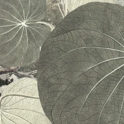 Komar Vlies Fototapete Creation 300x280 cm