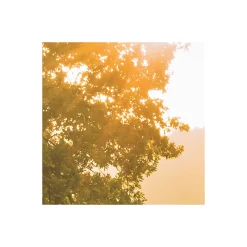 Komar Vlies Fototapete Devil's Bridge 400x250 cm