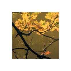 Komar Vlies Fototapete Devil's Bridge 400x250 cm