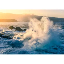 Komar Vlies Fototapete Exploding Elements 300x200 cm