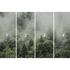 Komar Vlies Fototapete Forest Land 400x250 cm