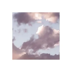 Komar Vlies Fototapete Gently Touched 400x250 cm