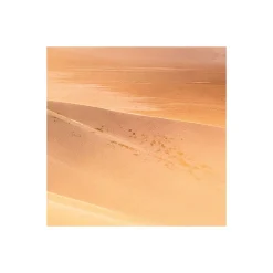 Komar Vlies Fototapete Gently Touched 400x250 cm