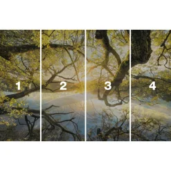 Komar Vlies Fototapete Golden Embrace 400x250 cm