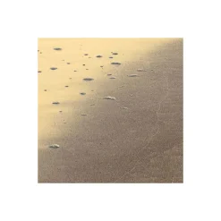 Komar Vlies Fototapete Golden Gate 400x250 cm