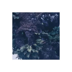 Komar Vlies Fototapete Ghost Line 400x250 cm