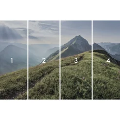 Komar Vlies Fototapete Green Vein 400x250 cm