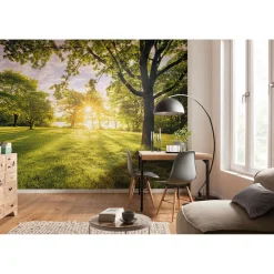 Komar Vlies Fototapete Golden Moment 400x250 cm