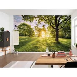 Komar Vlies Fototapete Golden Moment 400x250 cm