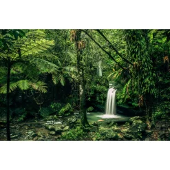 Komar Vlies Fototapete My Hidden Treasure 400x250 cm