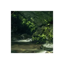 Komar Vlies Fototapete My Hidden Treasure 400x250 cm